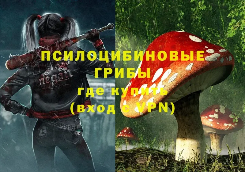 Галлюциногенные грибы Magic Shrooms  где купить наркоту  Кущёвская 